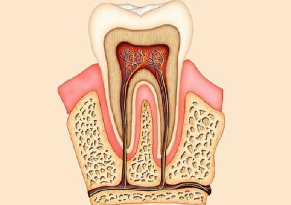 HOW CAN THE ROOT CANAL GET INFECTED